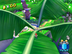 A Blue Coin in Pianta Village in the game Super Mario Sunshine.