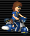 Sugarscoot from Mario Kart Wii