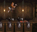 Donkey Kong Country
