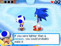 Sonic talking to a Blue Toad